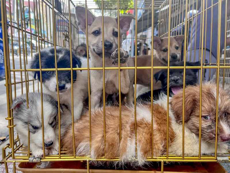 Kiểm Tra Các Địa Điểm Nhạy Cảm
